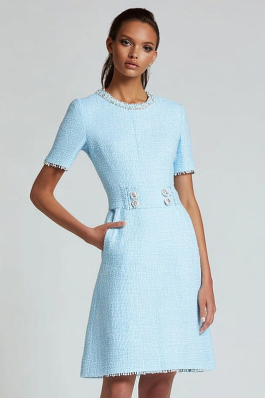 Blue Tweed A Line Round Neck Short Sleeves Homecoming Dress with Pockets