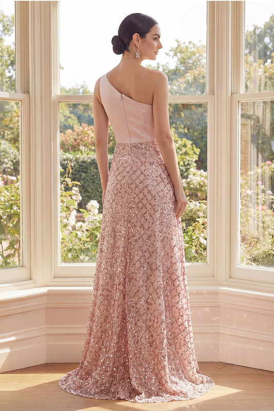 Long Sequin One Shoulder Sparkly Blush A Line Formal Dress
