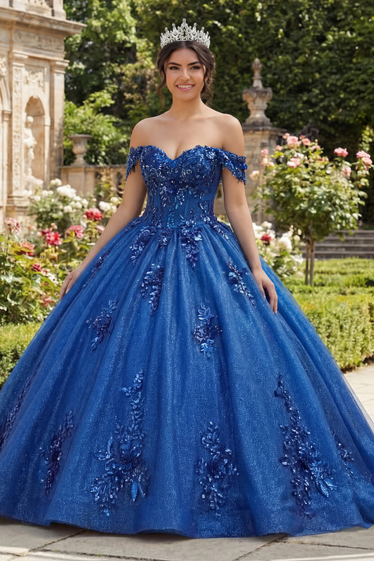 Sparkly Royal Blue Beaded Princess Glitter Long Floral Corset Quinceanera Dress
