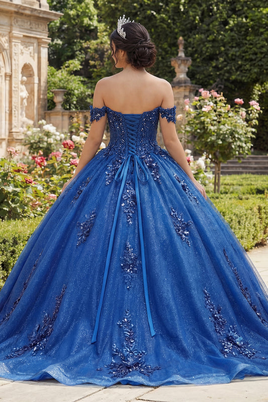 Sparkly Royal Blue Beaded Princess Glitter Long Floral Corset Quinceanera Dress