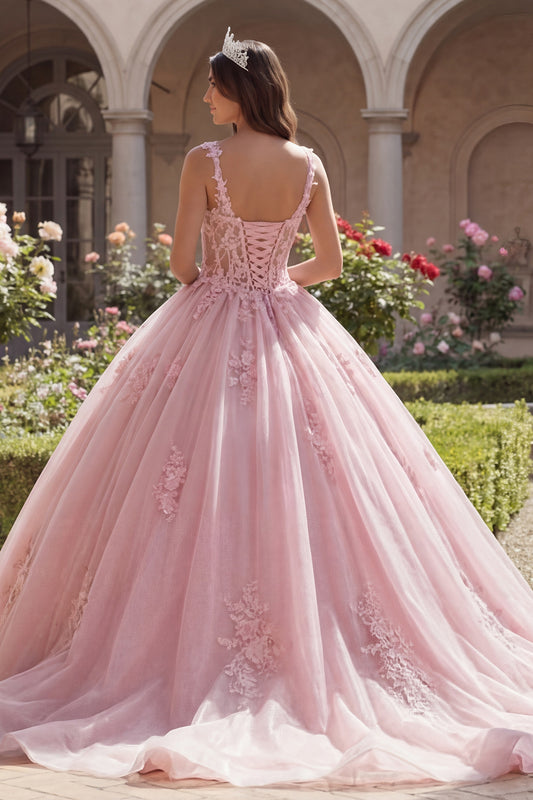 Thick Straps Pink Floral Long Corset Glitter Princess Quinceanera Dress