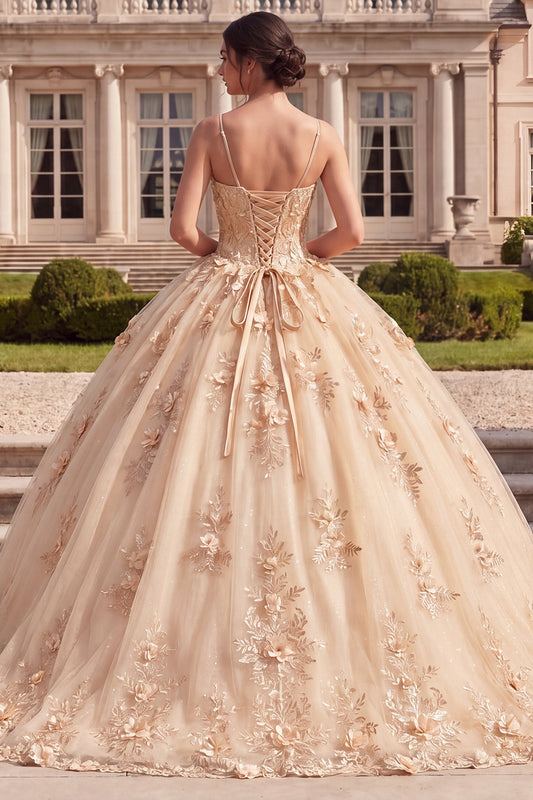 Corset Spaghetti Straps Champagne Floral Glitter Princess Long Quinceanera Dress