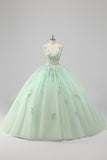 Green Appliqued Tulle Ball Gown Quinceanera Dress with 3D Flowers