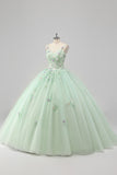 Green Appliqued Tulle Ball Gown Quinceanera Dress with 3D Flowers