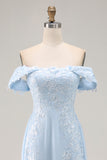 Sky Blue Chiffon Appliqued Sheath Long Mother of the Bride Dress