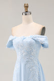 Sky Blue Chiffon Appliqued Sheath Long Mother of the Bride Dress