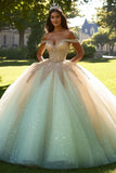 Zapakasa Women Sparkly Champagne Ball Gown Quinceanera Dress Off the Shoulder Tulle Sweet 16 Dress with Beading