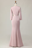 Blush Sheath Long Lace Mother Of The Bride Dress with Sleeves