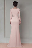 Blush Sheath Long Lace Mother Of The Bride Dress with Sleeves