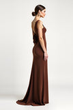 Brown Sheath One Shoulder Long Formal Dress with Bow