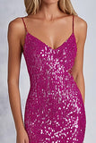 Sparkly Fuchsia Sheath Sequins Long Formal Dress