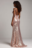 Sparkly Dusty Rose Sheath Backless Long Prom Dress with Sequins