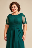 Pine Appliqued Chiffon High-Low Mother of the Bride Dress