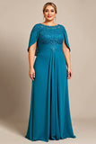 Peacock Chiffon Plus Size Long Mother of the Bride Dress with Appliques