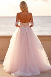 Blush Tulle Corset Ball Gown Wedding Dress with Appliques