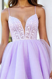 Sparkly Lilac Corset Short Tulle A Line Homecoming Dress