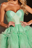 Green Corset Tulle Sweetheart Short Homecoming Dress with Feathers