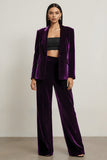 Dark Purple 2 Piece Notched Lapel Velvet Long Sleeves Prom Suits