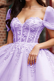 Blush Corset Tulle Short Floral Homecoming Dress
