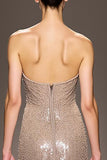 Sparkly Champagne Strapless Backless Long Sequin Evening Dress