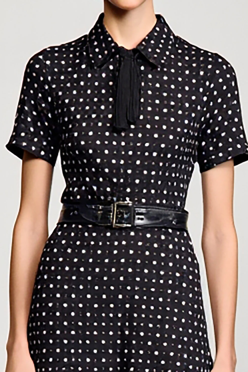 Black Polo Collar A Line Polka Dot Dress with Sleeves
