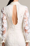 Lace Ivory Sheath Long Wedding Guest Dress with Sleeves