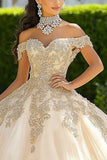 Champagne Off the Shoulder Ball Gown Princess Long Quinceanera Dress with Lace
