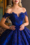 Royal Blue Ball Gown Long Princess Quinceanera Dress with Appliques
