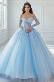 Sky Blue Long Sleeves Ball Gown Princess Quinceanera Dress with Lace