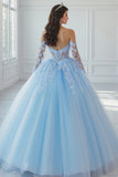 Sky Blue Long Sleeves Ball Gown Princess Quinceanera Dress with Lace