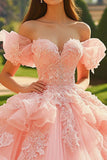 Pink Ball Gown Tulle Princess Long Quinceanera Dress with Ruffles
