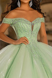 Glitter Light Green Ball Gown Tulle Long Quinceanera Dress with Appliques