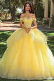 Yellow Tulle Ball Gown Appliqued Long Quinceanera Dress with Ruffles