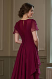 Burgundy Chiffon Round Neck A Line Long Mother of the Bride Dress with Ruffles
