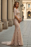 Champagne Mermaid Lace Long Mother of the Bride Dress with Sleeves
