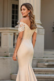 Champagne Mermaid Satin Long Mother of the Bride Dress with Lace