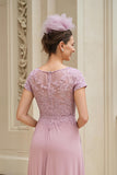 Dusty Rose Chiffon V-Neck Long Mother of the Bride Dress with Lace