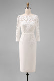 Dusty Rose Bodycon Floral Midi Mother of the Bride Dress with Sleeves