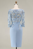 Dusty Rose Bodycon Floral Midi Mother of the Bride Dress with Sleeves