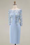 Dusty Rose Bodycon Floral Midi Mother of the Bride Dress with Sleeves