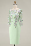 Dusty Rose Bodycon Floral Midi Mother of the Bride Dress with Sleeves