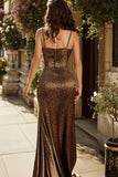 Sparkly Brown Leopard Print Mermaid Long Prom Dress with Beading