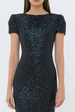 Sparkly Black Sequin Mermaid Long Formal Dress with Sleeves