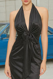 Halter Neck Sheath Ruched Long Black Tie Dress