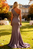 Dusk One Shoulder Chiffon Mermaid Ruched Long Wedding Guest Dress