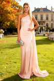 Pink Mermaid One Shoulder Long Wedding Guest Dress with Cape
