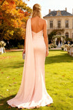 Pink Mermaid One Shoulder Long Wedding Guest Dress with Cape
