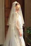 Ivory Tulle Long Bridal Veil