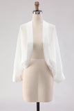 Black Long Sleeves Simple Women Jacket
