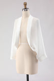 Black Long Sleeves Simple Women Jacket